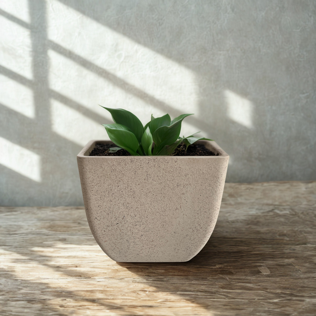 [E-COM00000050] Rice Husk Square Planter - 4 in
