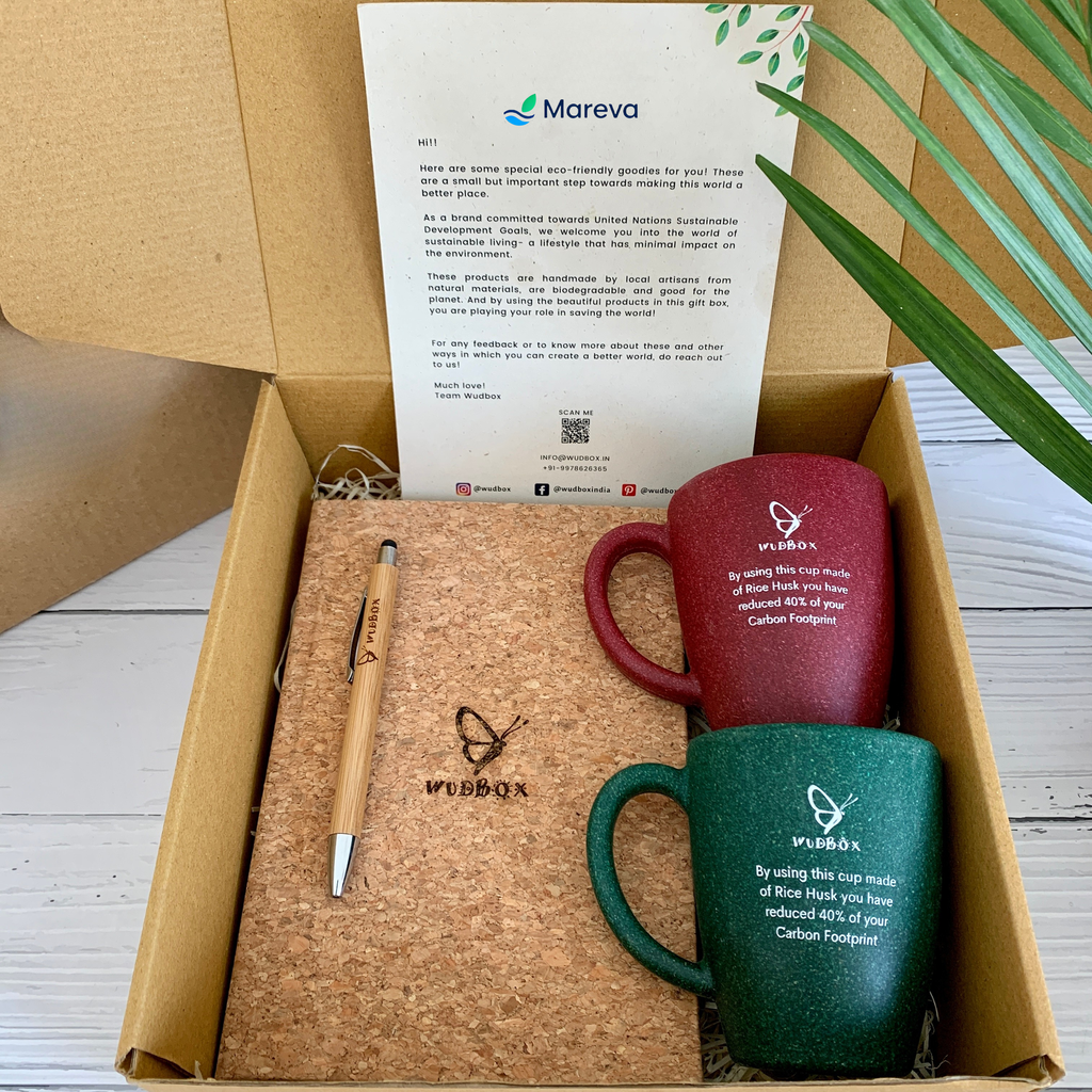 [E-COM00000111] Eco Brew Duo